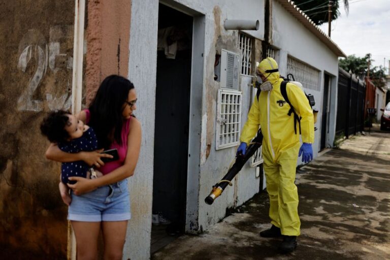 Brasil chega a 62 mortes e 408 mil casos prováveis de dengue