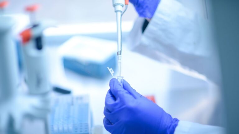 Toxina do veneno da cascavel pode ajudar a combater o câncer, indica estudo