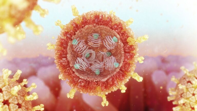 O que é rotavírus e como evitar a infecção