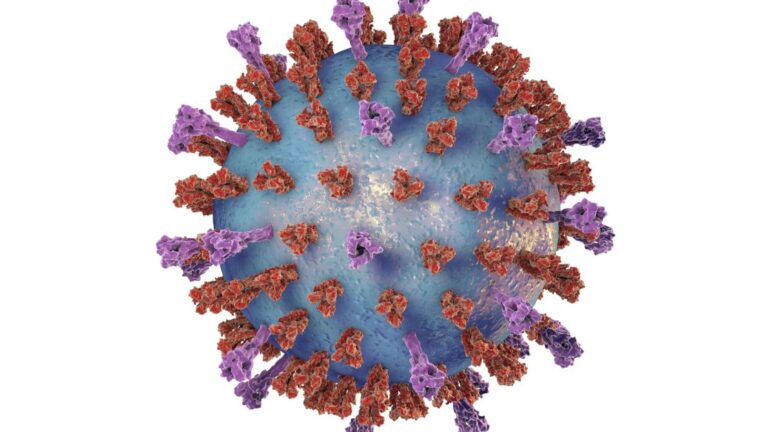Bronquiolite: complicações causadas por VSR crescem em 2024 no Brasil
