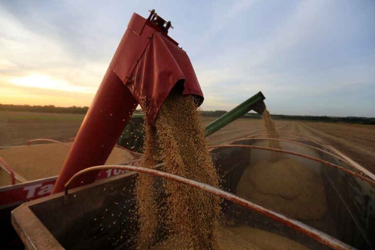Exportação de soja do Brasil fecha 1º semestre com alta de 2,2%; milho recua 28%