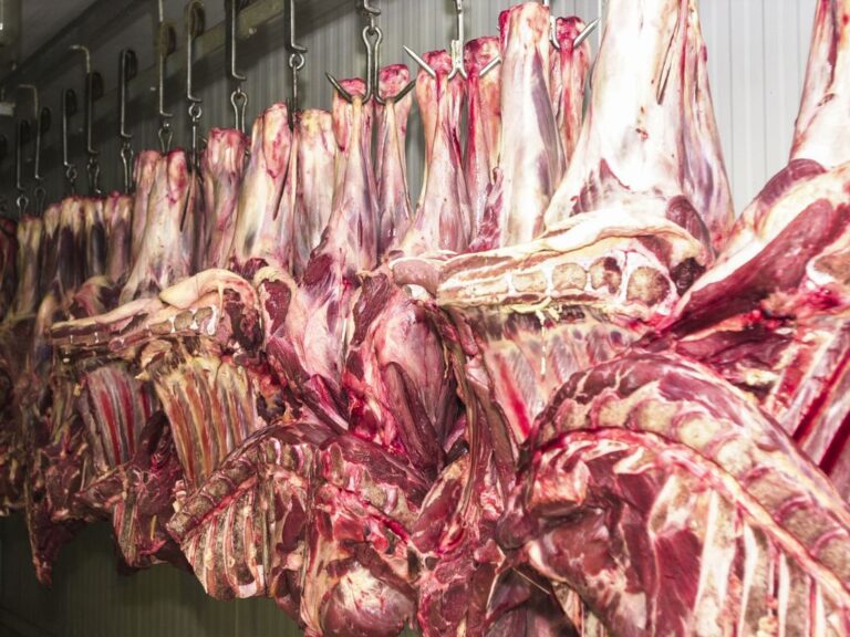 “Vou ficar feliz se puder comprar carne sem imposto”