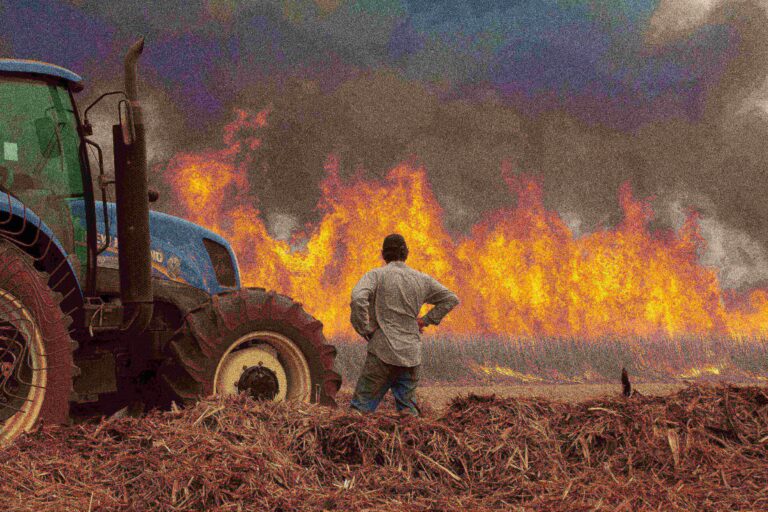 Usina Santa Adélia oferece recompensa de R$ 20 mil por informações sobre incêndios