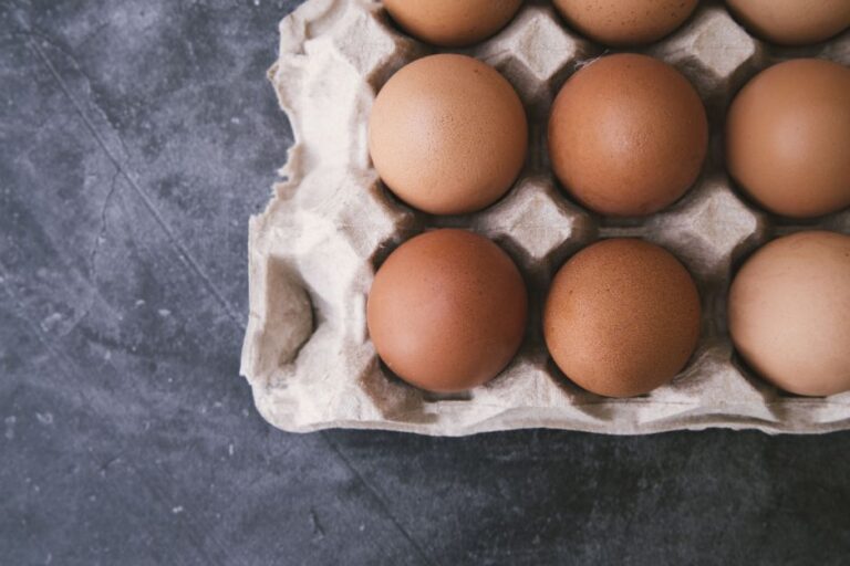 Consumo de ovo pode ajudar a melhorar memória, indica pesquisa