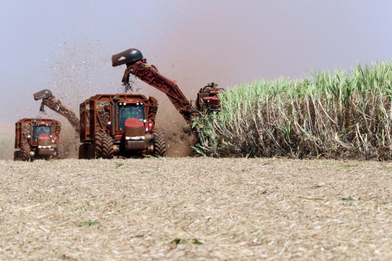 Exportação do agronegócio paulista cresce 9,2% até setembro e soma US$ 22,69 bi