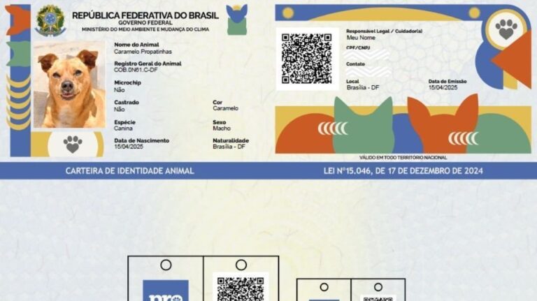 RG dos pets: como fazer e para que serve