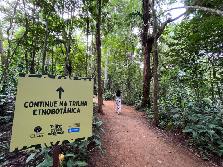 Jardim Etnobotânico: novo espaço inserido no Jardim Botânico de Salvador