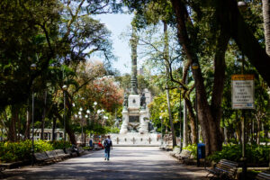 11ª edição do Festival da Primavera de Salvador